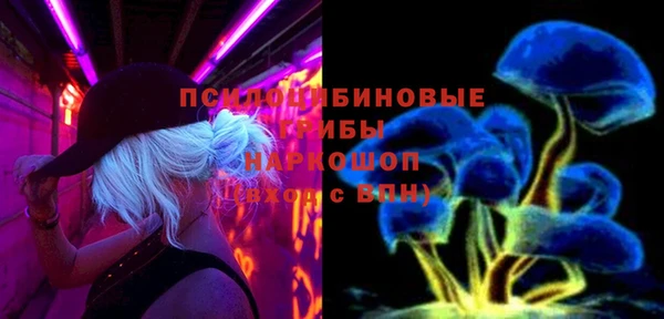 гашик Няндома
