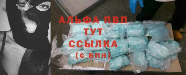 гашик Няндома