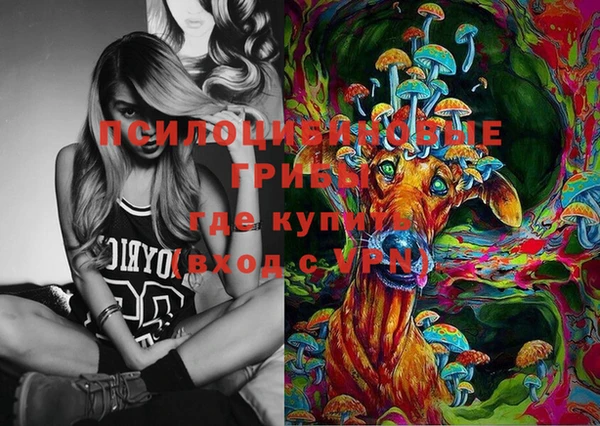 spice Новозыбков