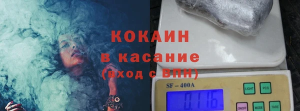прущие грибы Новокубанск