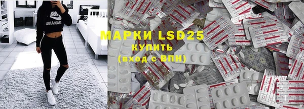 spice Новодвинск
