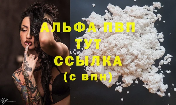 прущие грибы Новокубанск