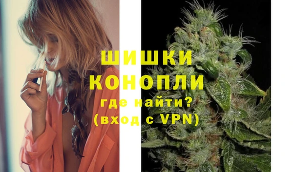 spice Новозыбков