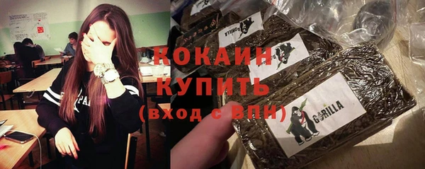spice Новодвинск