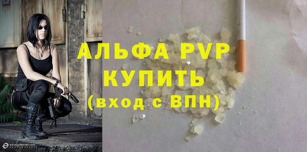 гашик Няндома