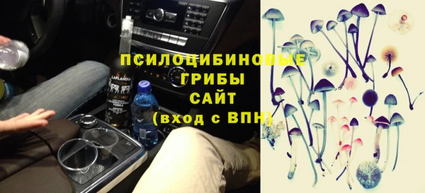 spice Новодвинск
