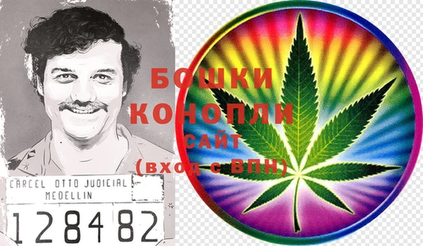 гашик Няндома